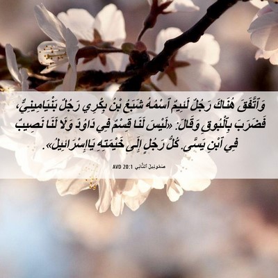 Picture 06 - صَمُوئِيلَ ٱلثَّانِي 20:1 AVD - وَٱتَّفَقَ هُنَاكَ رَجُلٌ - Bible Verse Picture