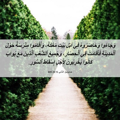 Picture 06 - صَمُوئِيلَ ٱلثَّانِي 20:15 AVD - وَجَاءُوا وَحَاصَرُوهُ - Bible Verse Picture