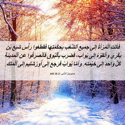 Picture 06 - صَمُوئِيلَ ٱلثَّانِي 20:22 AVD - فَأَتَتِ ٱلْمَرْأَةُ - Bible Verse Picture
