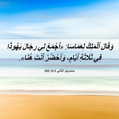 Picture 06 - صَمُوئِيلَ ٱلثَّانِي 20:4 AVD - وَقَالَ ٱلْمَلِكُ - Bible Verse Picture