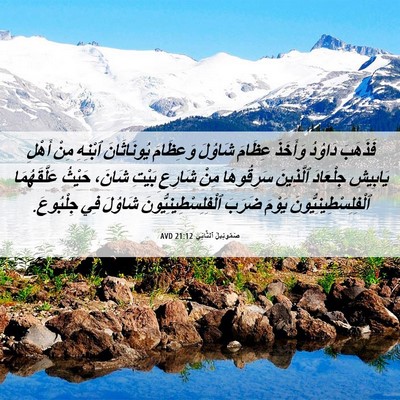 Picture 06 - صَمُوئِيلَ ٱلثَّانِي 21:12 AVD - فَذَهَبَ دَاوُدُ وَأَخَذَ - Bible Verse Picture