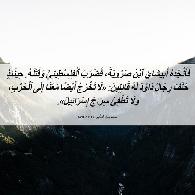 Picture 06 - صَمُوئِيلَ ٱلثَّانِي 21:17 AVD - فَأَنْجَدَهُ أَبِيشَايُ - Bible Verse Picture