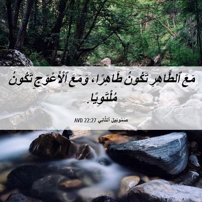 Picture 06 - صَمُوئِيلَ ٱلثَّانِي 22:27 AVD - مَعَ ٱلطَّاهِرِ تَكُونُ - Bible Verse Picture