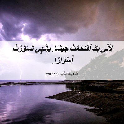 Picture 06 - صَمُوئِيلَ ٱلثَّانِي 22:30 AVD - لِأَنِّي بِكَ ٱقْتَحَمْتُ - Bible Verse Picture