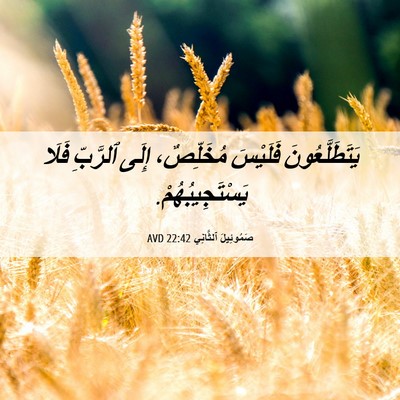 Picture 06 - صَمُوئِيلَ ٱلثَّانِي 22:42 AVD - يَتَطَلَّعُونَ فَلَيْسَ - Bible Verse Picture
