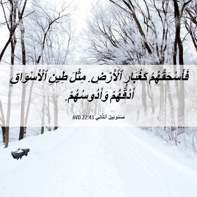 Picture 06 - صَمُوئِيلَ ٱلثَّانِي 22:43 AVD - فَأَسْحَقُهُمْ كَغُبَارِ - Bible Verse Picture