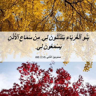 Picture 06 - صَمُوئِيلَ ٱلثَّانِي 22:45 AVD - بَنُو ٱلْغُرَبَاءِ - Bible Verse Picture