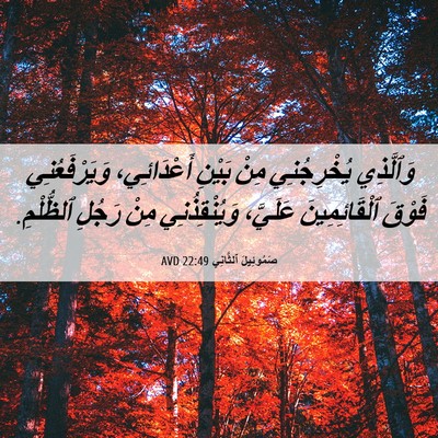 Picture 06 - صَمُوئِيلَ ٱلثَّانِي 22:49 AVD - وَٱلَّذِي يُخْرِجُنِي - Bible Verse Picture
