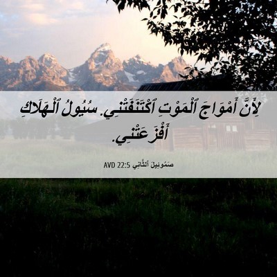 Picture 06 - صَمُوئِيلَ ٱلثَّانِي 22:5 AVD - لِأَنَّ أَمْوَاجَ - Bible Verse Picture