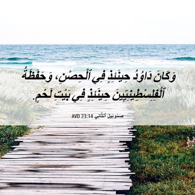Picture 06 - صَمُوئِيلَ ٱلثَّانِي 23:14 AVD - وَكَانَ دَاوُدُ حِينَئِذٍ - Bible Verse Picture
