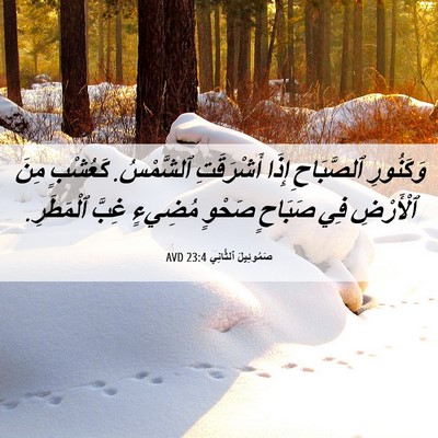 Picture 06 - صَمُوئِيلَ ٱلثَّانِي 23:4 AVD - وَكَنُورِ ٱلصَّبَاحِ - Bible Verse Picture