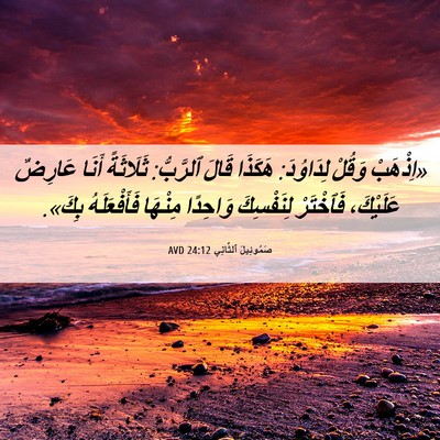 Picture 06 - صَمُوئِيلَ ٱلثَّانِي 24:12 AVD - «اِذْهَبْ وَقُلْ - Bible Verse Picture