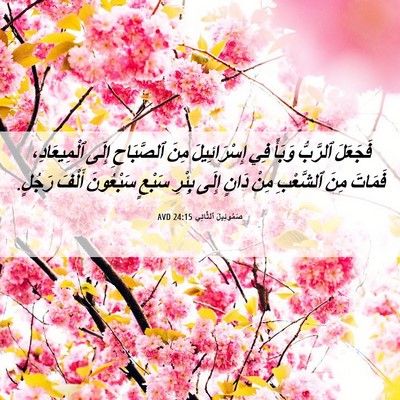 Picture 06 - صَمُوئِيلَ ٱلثَّانِي 24:15 AVD - فَجَعَلَ ٱلرَّبُّ وَبَأً - Bible Verse Picture