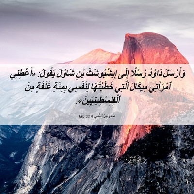 Picture 06 - صَمُوئِيلَ ٱلثَّانِي 3:14 AVD - وَأَرْسَلَ دَاوُدُ - Bible Verse Picture