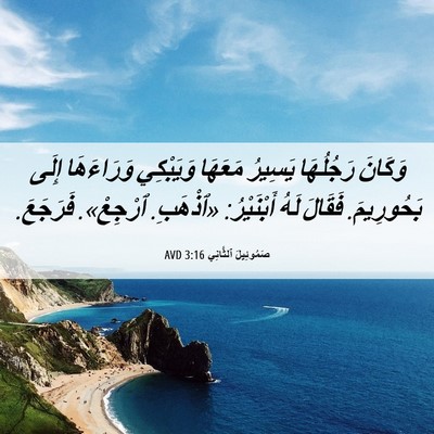 Picture 06 - صَمُوئِيلَ ٱلثَّانِي 3:16 AVD - وَكَانَ رَجُلُهَا يَسِيرُ - Bible Verse Picture
