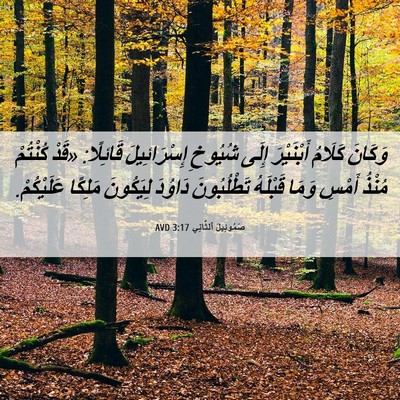 Picture 06 - صَمُوئِيلَ ٱلثَّانِي 3:17 AVD - وَكَانَ كَلَامُ - Bible Verse Picture
