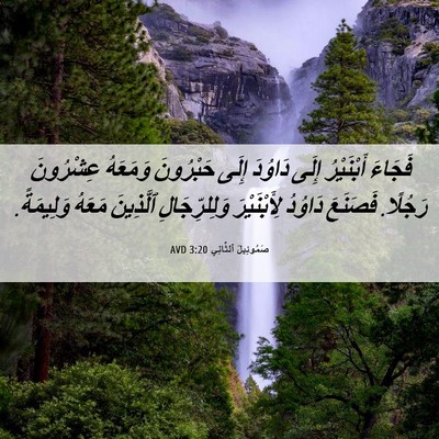 Picture 06 - صَمُوئِيلَ ٱلثَّانِي 3:20 AVD - فَجَاءَ أَبْنَيْرُ إِلَى - Bible Verse Picture