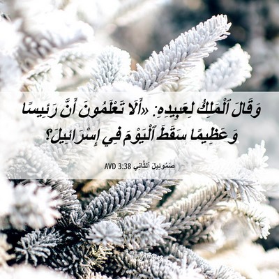 Picture 06 - صَمُوئِيلَ ٱلثَّانِي 3:38 AVD - وَقَالَ ٱلْمَلِكُ - Bible Verse Picture