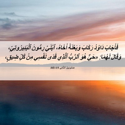 Picture 06 - صَمُوئِيلَ ٱلثَّانِي 4:9 AVD - فَأَجَابَ دَاوُدُ رَكَابَ - Bible Verse Picture
