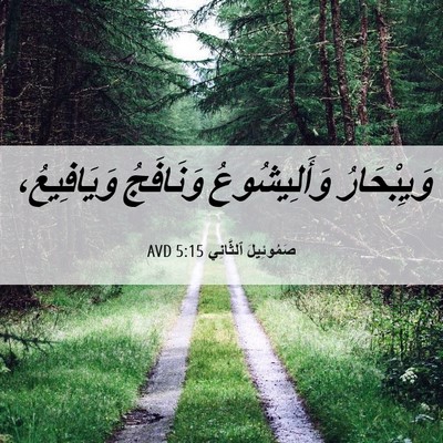 Picture 06 - صَمُوئِيلَ ٱلثَّانِي 5:15 AVD - وَيِبْحَارُ وَأَلِيشُوعُ - Bible Verse Picture