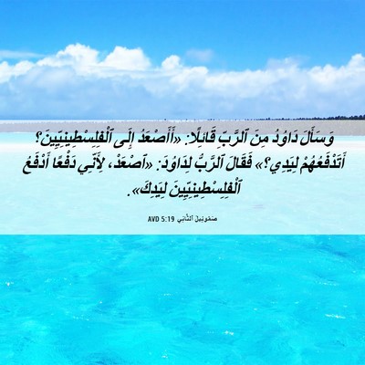 Picture 06 - صَمُوئِيلَ ٱلثَّانِي 5:19 AVD - وَسَأَلَ دَاوُدُ مِنَ - Bible Verse Picture