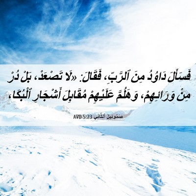 Picture 06 - صَمُوئِيلَ ٱلثَّانِي 5:23 AVD - فَسَأَلَ دَاوُدُ مِنَ - Bible Verse Picture