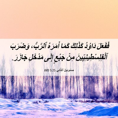 Picture 06 - صَمُوئِيلَ ٱلثَّانِي 5:25 AVD - فَفَعَلَ دَاوُدُ كَذَلِكَ - Bible Verse Picture