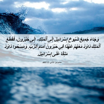 Picture 06 - صَمُوئِيلَ ٱلثَّانِي 5:3 AVD - وَجَاءَ جَمِيعُ شُيُوخِ - Bible Verse Picture