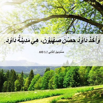 Picture 06 - صَمُوئِيلَ ٱلثَّانِي 5:7 AVD - وَأَخَذَ دَاوُدُ حِصْنَ - Bible Verse Picture