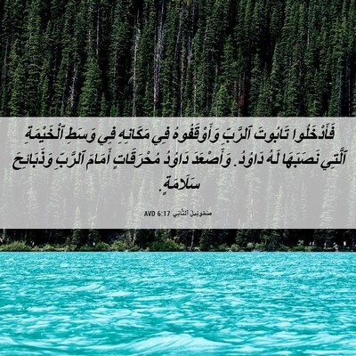 Picture 06 - صَمُوئِيلَ ٱلثَّانِي 6:17 AVD - فَأَدْخَلُوا تَابُوتَ - Bible Verse Picture