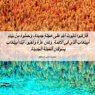 Picture 06 - صَمُوئِيلَ ٱلثَّانِي 6:3 AVD - فَأَرْكَبُوا تَابُوتَ - Bible Verse Picture