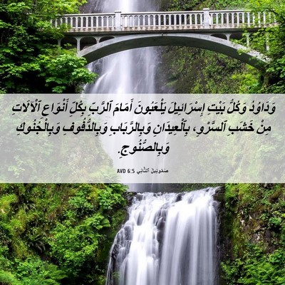 Picture 06 - صَمُوئِيلَ ٱلثَّانِي 6:5 AVD - وَدَاوُدُ وَكُلُّ بَيْتِ - Bible Verse Picture