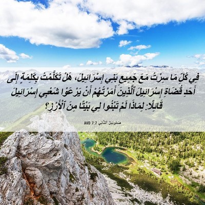 Picture 06 - صَمُوئِيلَ ٱلثَّانِي 7:7 AVD - فِي كُلِّ مَا سِرْتُ مَعَ - Bible Verse Picture