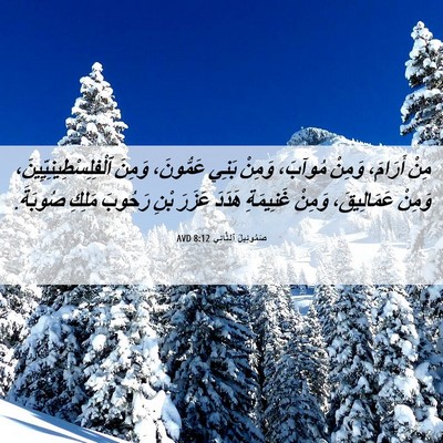 Picture 06 - صَمُوئِيلَ ٱلثَّانِي 8:12 AVD - مِنْ أَرَامَ، وَمِنْ - Bible Verse Picture