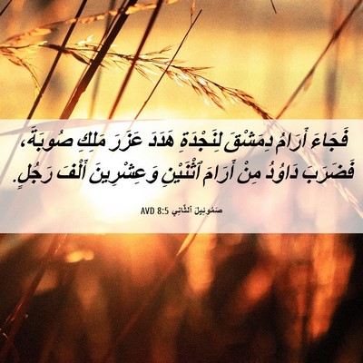 Picture 06 - صَمُوئِيلَ ٱلثَّانِي 8:5 AVD - فَجَاءَ أَرَامُ دِمَشْقَ - Bible Verse Picture
