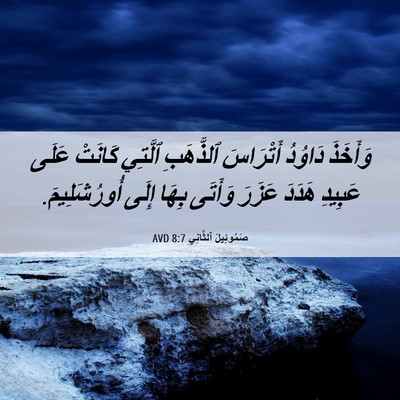 Picture 06 - صَمُوئِيلَ ٱلثَّانِي 8:7 AVD - وَأَخَذَ دَاوُدُ - Bible Verse Picture