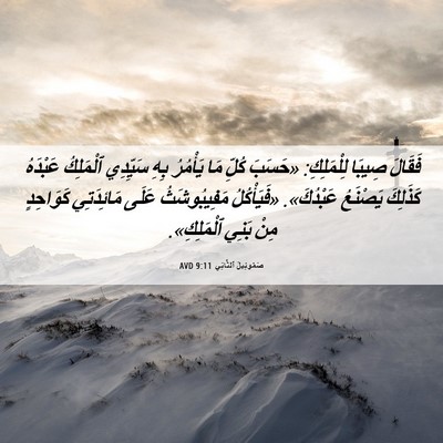 Picture 06 - صَمُوئِيلَ ٱلثَّانِي 9:11 AVD - فَقَالَ صِيبَا لِلْمَلِكِ: - Bible Verse Picture