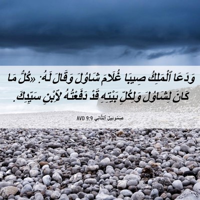 Picture 06 - صَمُوئِيلَ ٱلثَّانِي 9:9 AVD - وَدَعَا ٱلْمَلِكُ صِيبَا - Bible Verse Picture