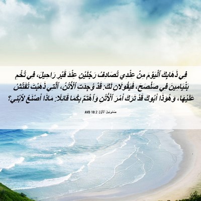 Picture 06 - صَمُوئِيلَ ٱلْأَوَّلُ 10:2 AVD - فِي ذَهَابِكَ ٱلْيَوْمَ - Bible Verse Picture