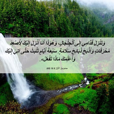 Picture 06 - صَمُوئِيلَ ٱلْأَوَّلُ 10:8 AVD - وَتَنْزِلُ قُدَّامِي - Bible Verse Picture