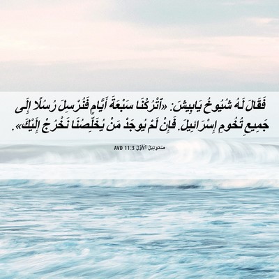 Picture 06 - صَمُوئِيلَ ٱلْأَوَّلُ 11:3 AVD - فَقَالَ لَهُ شُيُوخُ - Bible Verse Picture