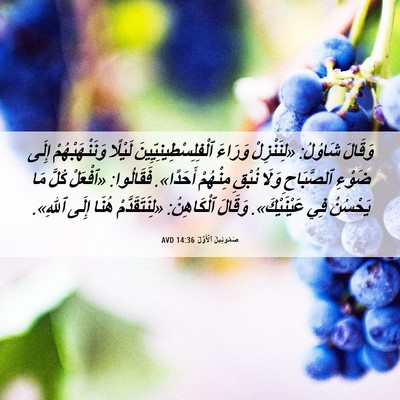 Picture 06 - صَمُوئِيلَ ٱلْأَوَّلُ 14:36 AVD - وَقَالَ شَاوُلُ: - Bible Verse Picture