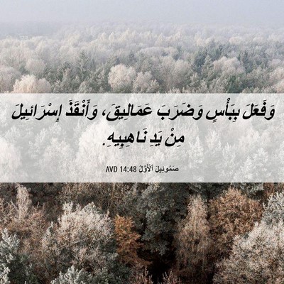 Picture 06 - صَمُوئِيلَ ٱلْأَوَّلُ 14:48 AVD - وَفَعَلَ بِبَأْسٍ - Bible Verse Picture
