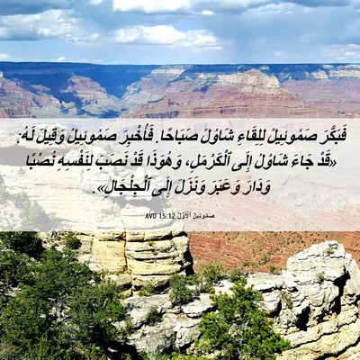 Picture 06 - صَمُوئِيلَ ٱلْأَوَّلُ 15:12 AVD - فَبَكَّرَ صَمُوئِيلُ - Bible Verse Picture