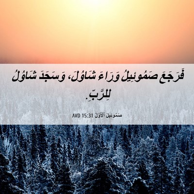 Picture 06 - صَمُوئِيلَ ٱلْأَوَّلُ 15:31 AVD - فَرَجَعَ صَمُوئِيلُ - Bible Verse Picture