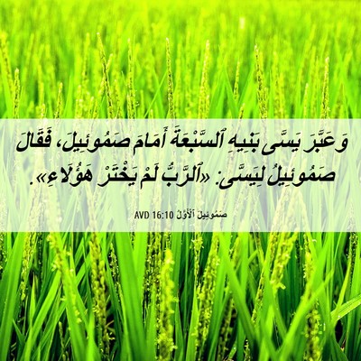 Picture 06 - صَمُوئِيلَ ٱلْأَوَّلُ 16:10 AVD - وَعَبَّرَ يَسَّى بَنِيهِ - Bible Verse Picture
