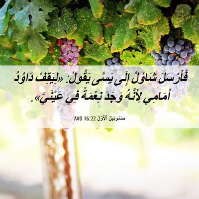 Picture 06 - صَمُوئِيلَ ٱلْأَوَّلُ 16:22 AVD - فَأَرْسَلَ شَاوُلُ إِلَى - Bible Verse Picture