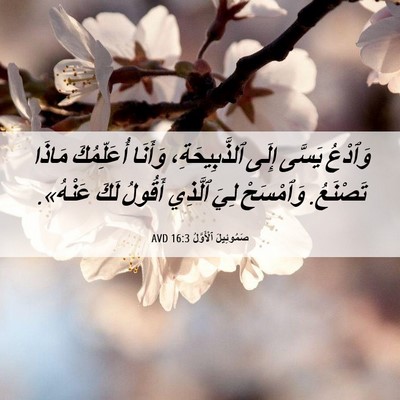 Picture 06 - صَمُوئِيلَ ٱلْأَوَّلُ 16:3 AVD - وَٱدْعُ يَسَّى إِلَى - Bible Verse Picture