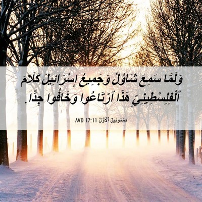 Picture 06 - صَمُوئِيلَ ٱلْأَوَّلُ 17:11 AVD - وَلَمَّا سَمِعَ شَاوُلُ - Bible Verse Picture