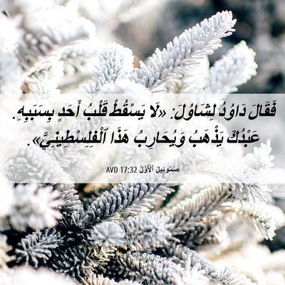 Picture 06 - صَمُوئِيلَ ٱلْأَوَّلُ 17:32 AVD - فَقَالَ دَاوُدُ لِشَاوُلَ: - Bible Verse Picture